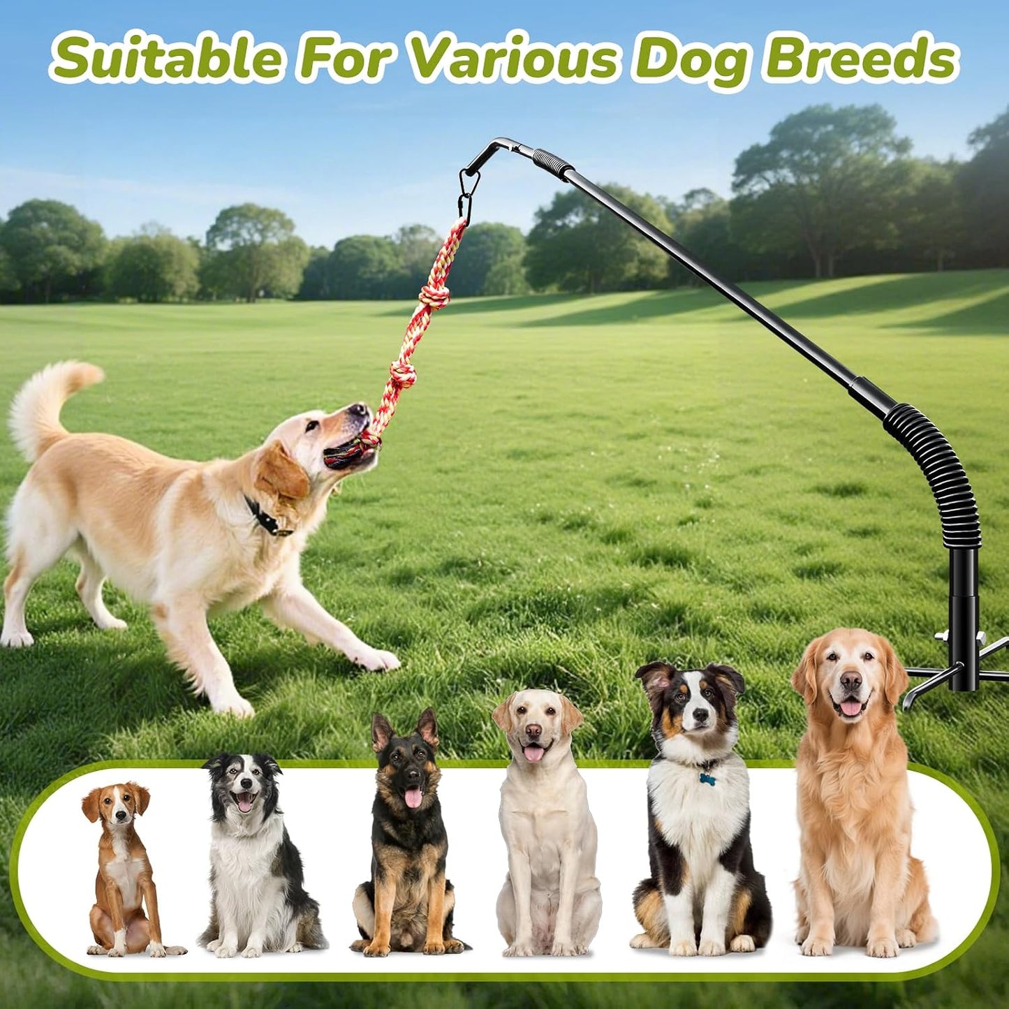 BUFOR Juguete para perros con rotación de 360°, juguete para perros...
