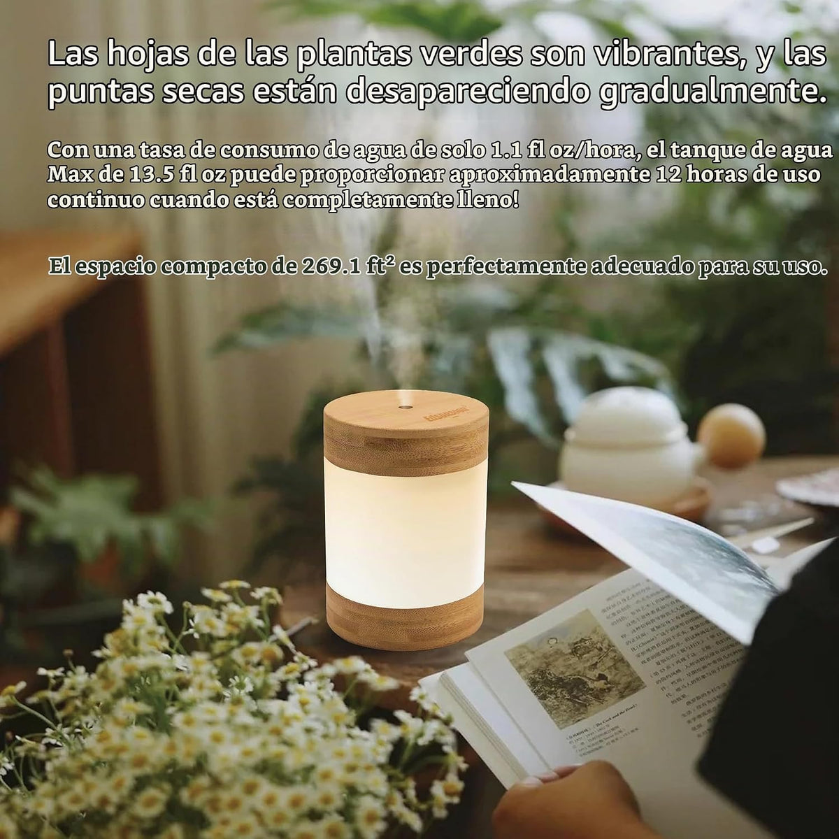 Mini humidificador ultrasónico de bambú, humidificador de escritori...
