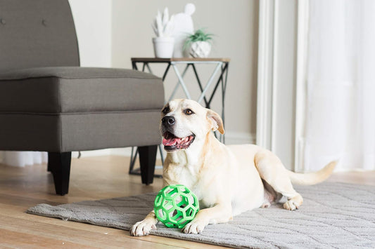 JW Pet Hol-ee Roller - Bola de rompecabezas de juguete para perros,...