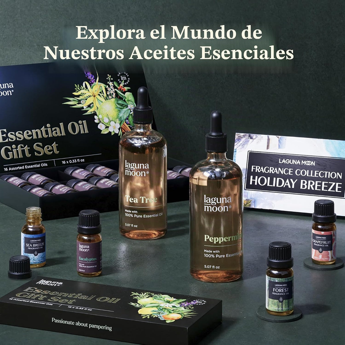 LagunaMoon - Paquete de 6 aceites esenciales con caja de regalo, me...