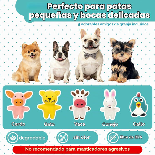 LECHONG Paquete de 5 juguetes de látex para perros pequeños, juguet...