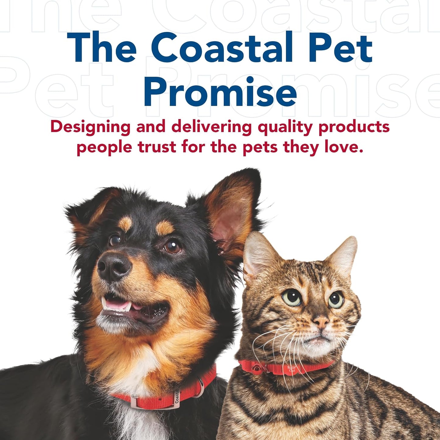 Coastal Pet - Paquete Turbo Pet Cat - Juguete para gatos Teaser y j...