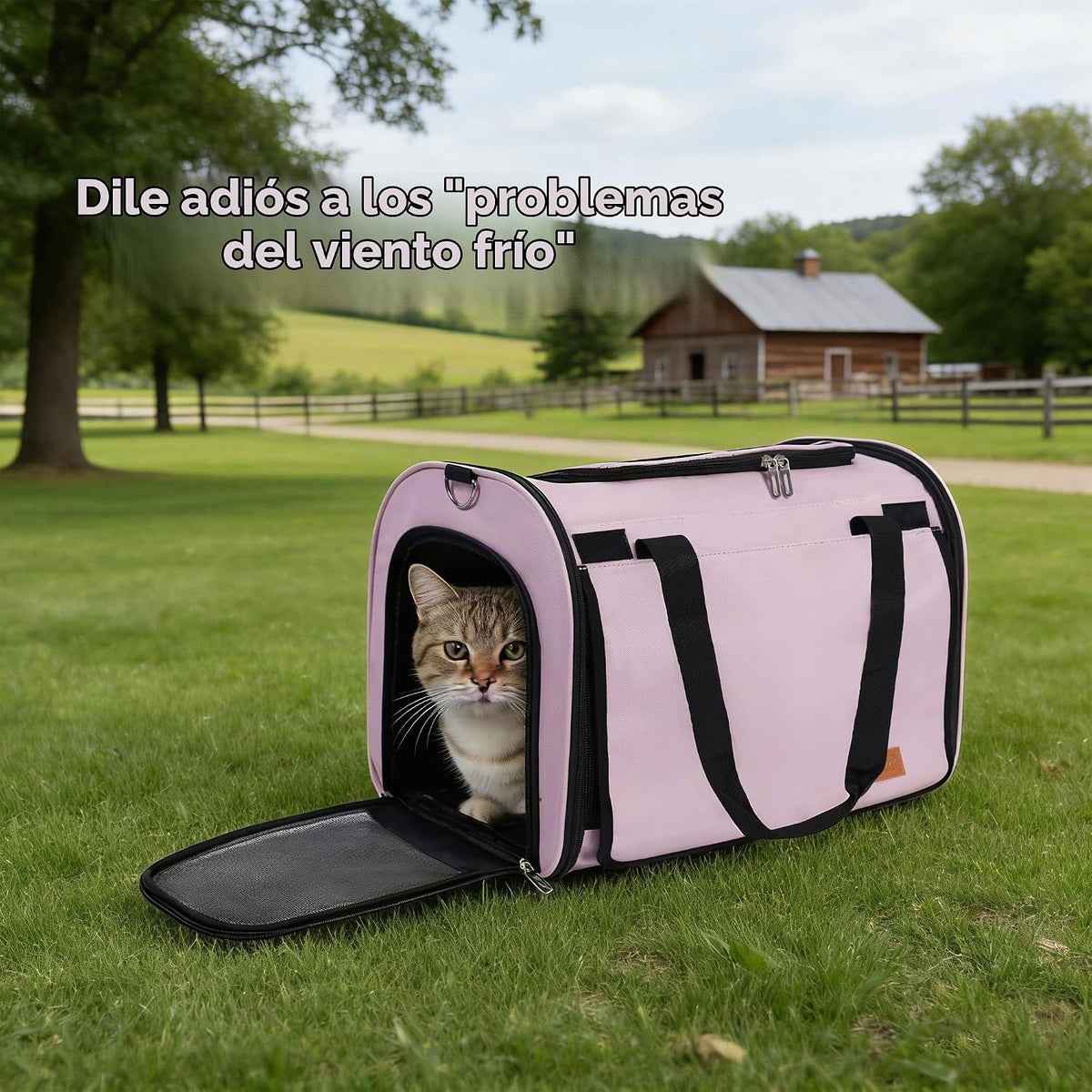 TWDEPART Mochila transportadora para gatos, multifuncional, firme y...