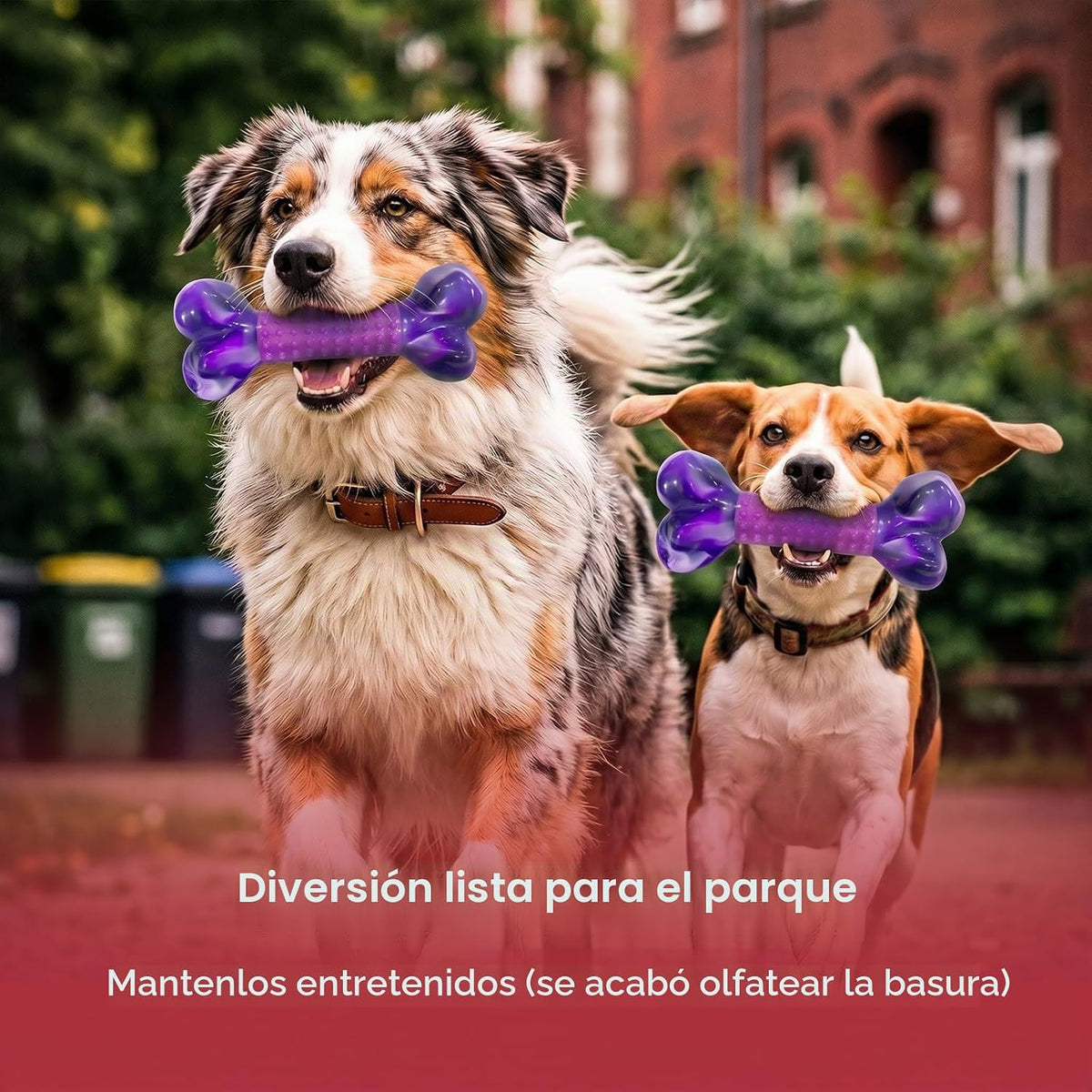 Apasiri Juguetes resistentes para perros masticadores agresivos de...
