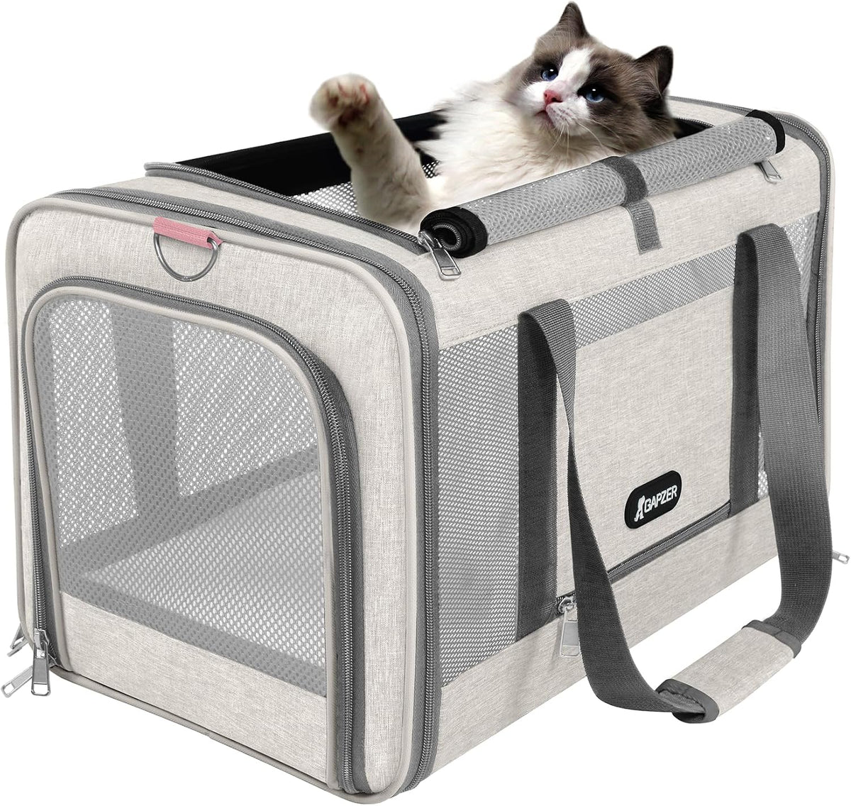 GAPZER - Transportador para gatos aprobado por aerolíneas estadouni...