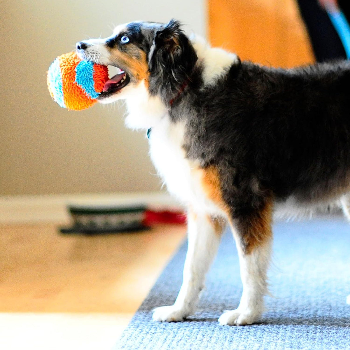 Pelota para interior, Variados | Juguete interactivo para perros di...