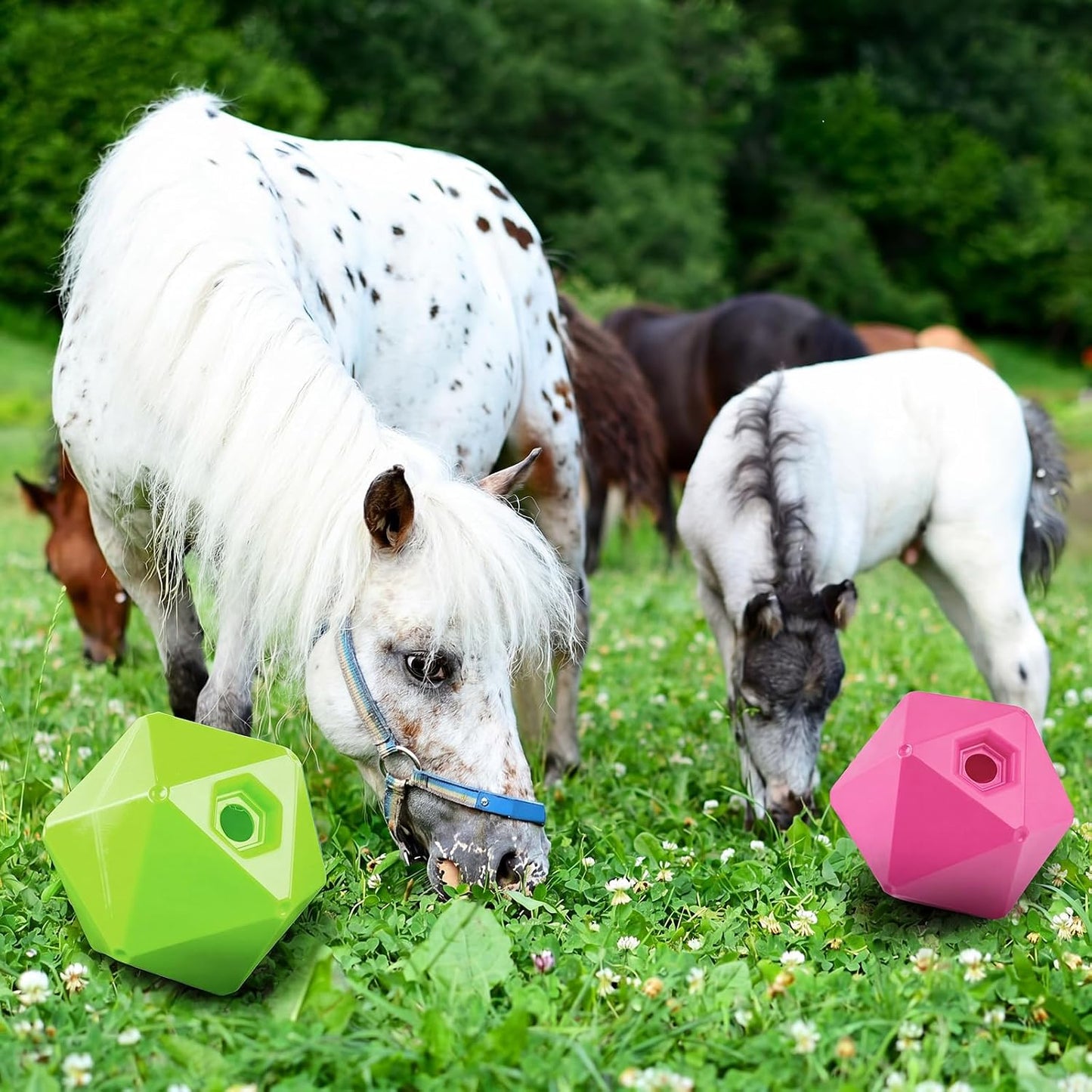 Seenelling Paquete de 2 bolas de golosinas para caballos, juguete a...