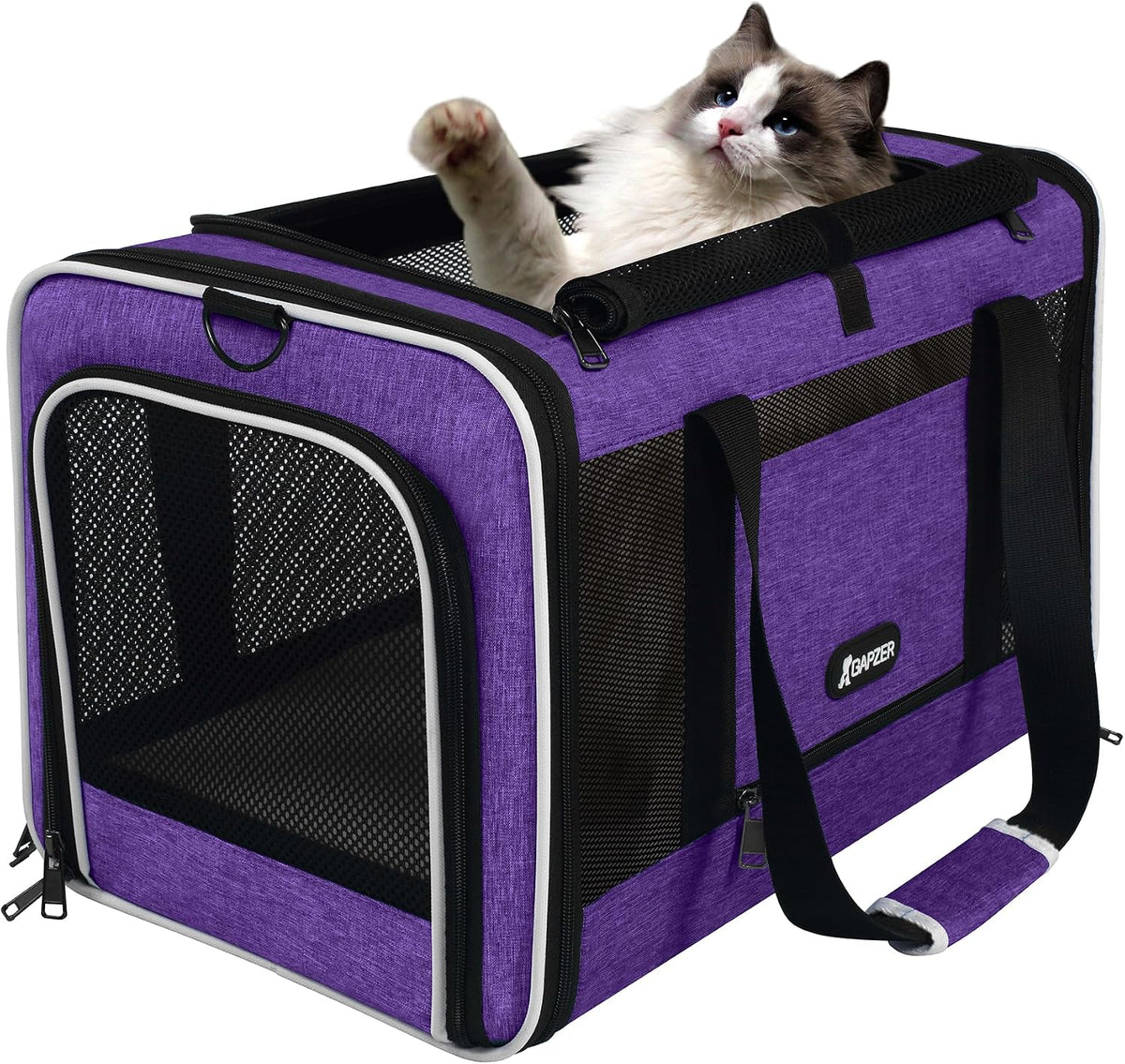 GAPZER - Transportador de mascotas para gatos de 18 x 11 x 11 pulga...
