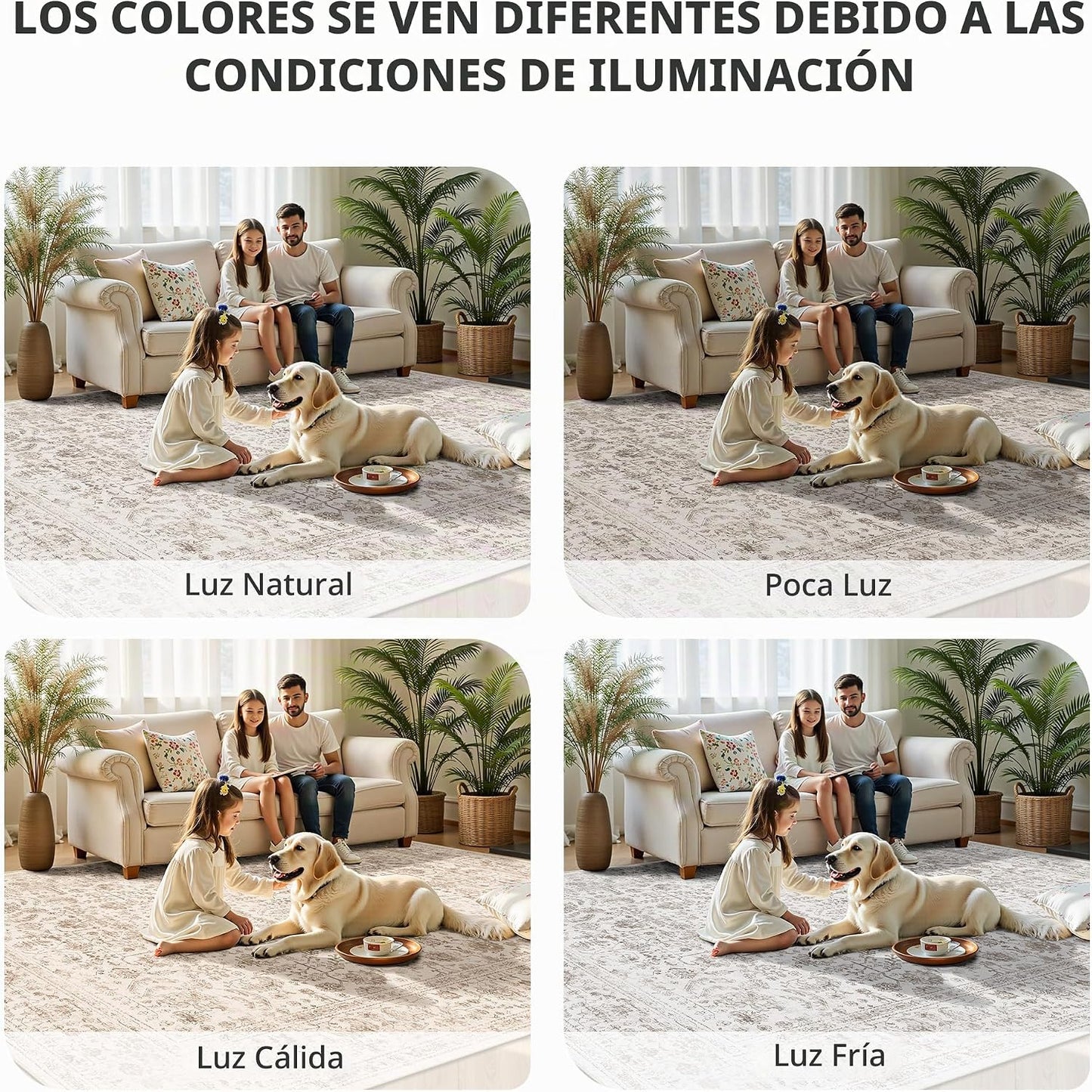 Yarooge Alfombras de área de 8 x 10 pies para sala de estar, alfomb...