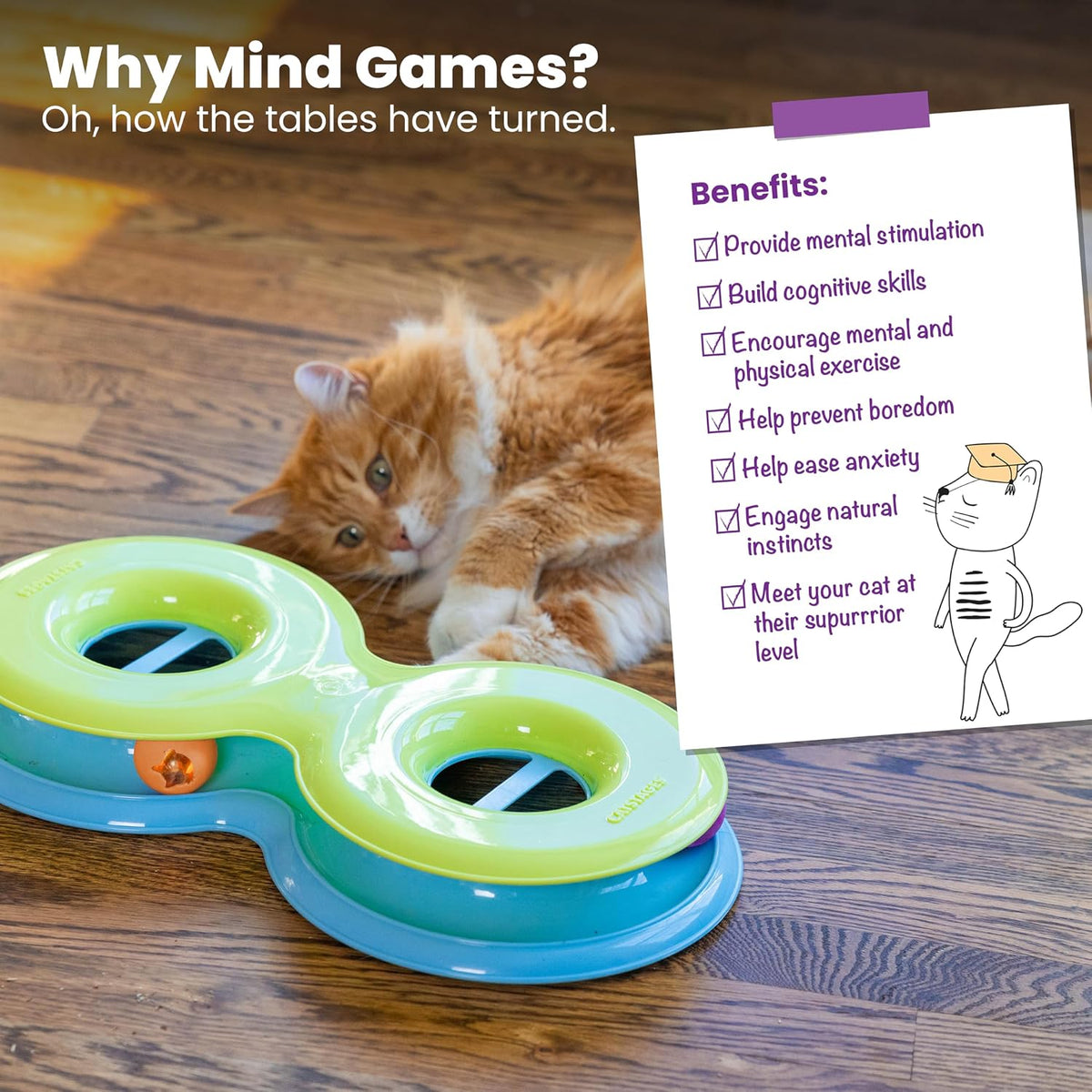 Catstages Pista de Bolas Infinity para Gatos con Dos Bolas, Incluye...