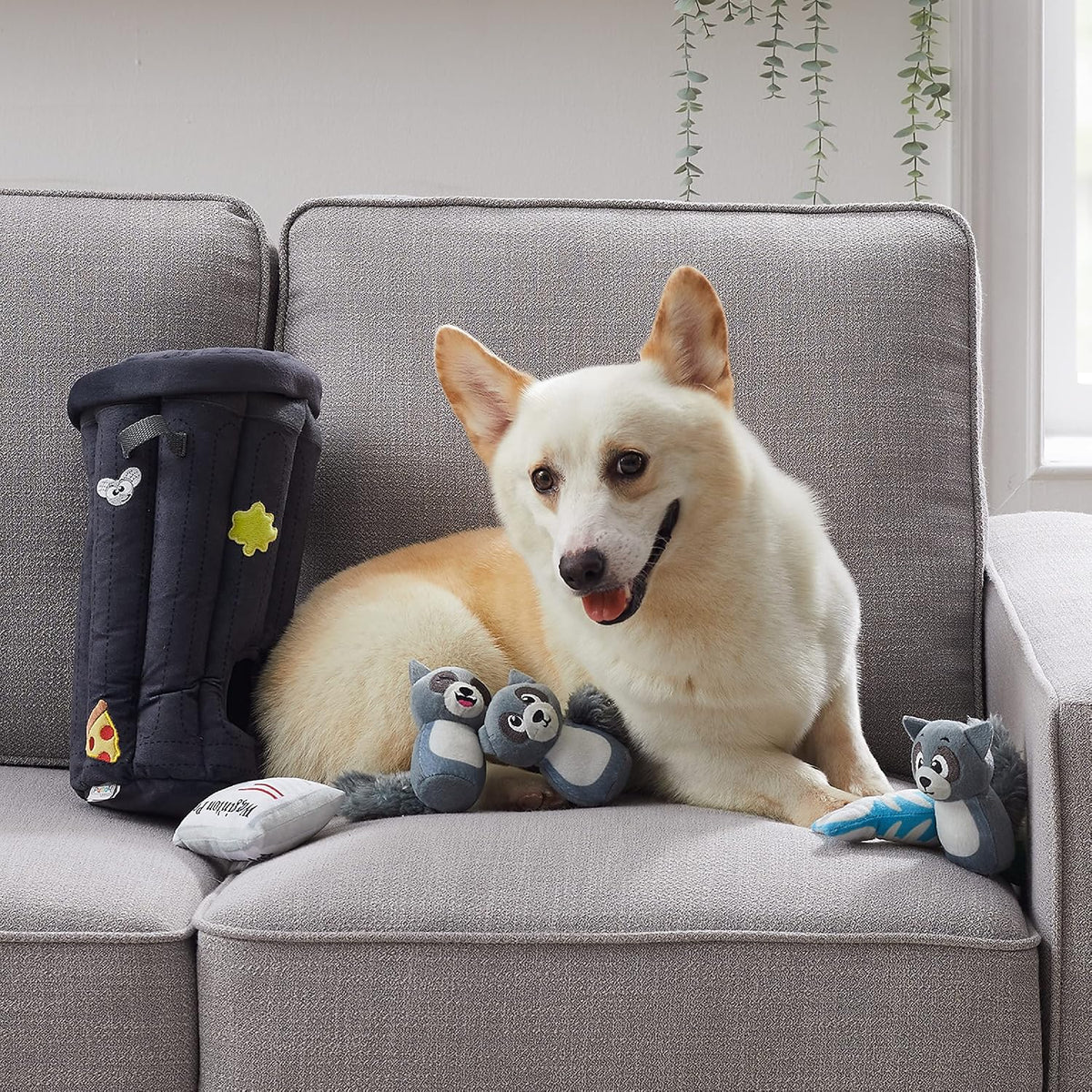 Outward Hound Hide A Raccoon Juguete Rompecabezas de Peluche para P...