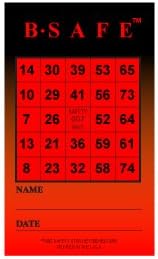 B-Safe - Tarjetas de bingo de seguridad, paquete de 600 | Juego de...