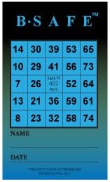 B-Safe - Tarjetas de bingo de seguridad, paquete de 600 | Juego de...