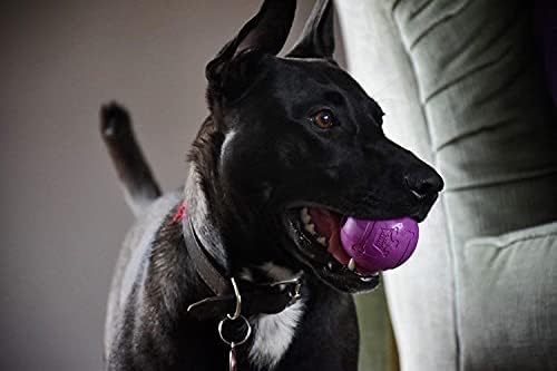 Chew King - Pelotas para lanzar y buscar, juguete de goma natural e...