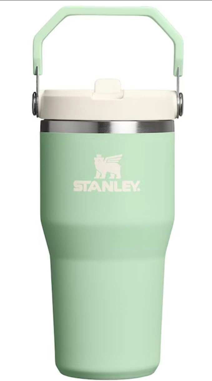 STANLEY IceFlow - Vaso con pajilla abatible con asa, de 20 onzas, t...