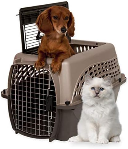 Petmate Jaulas para Perros Pequeños y Transportadores para Gatos, P...