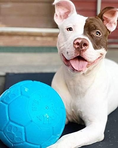 Jolly Pets Pelota de fútbol grande flotante para perro, 8 pulgadas...