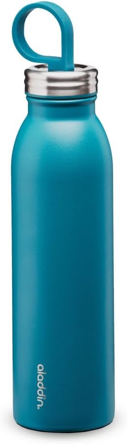 Aladdin Chilled Thermavac - Botella de agua de acero inoxidable de...