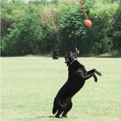 Chuckit! Juguete de cuerda para perros - Bola en cuerda para buscar...
