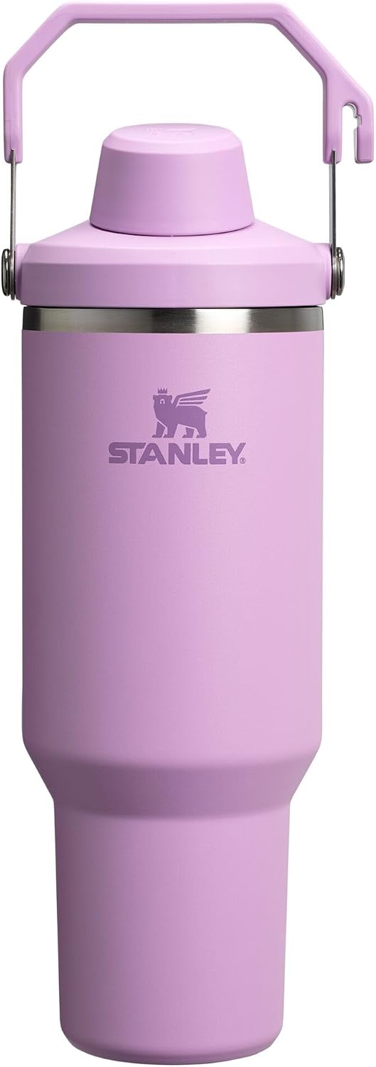 Stanley IceFlow 2.0 - Vaso de flujo rápido con asa, 30 onzas, tapa...