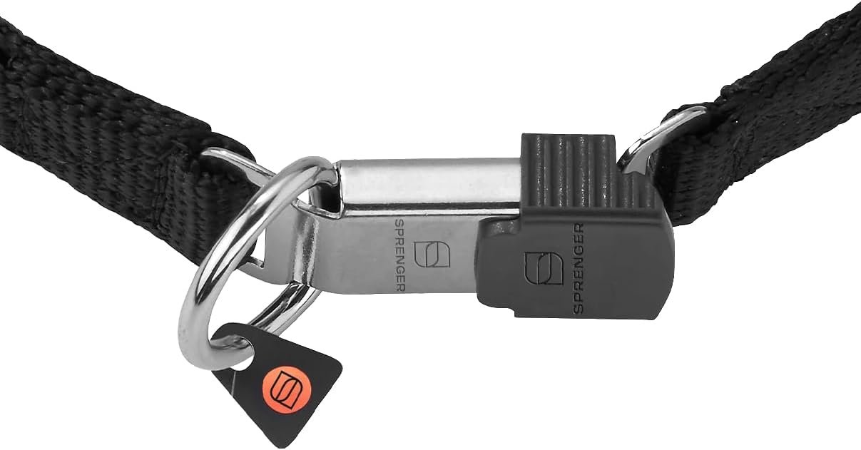 Herm Sprenger Collar de entrenamiento para perros de acero inoxidab...