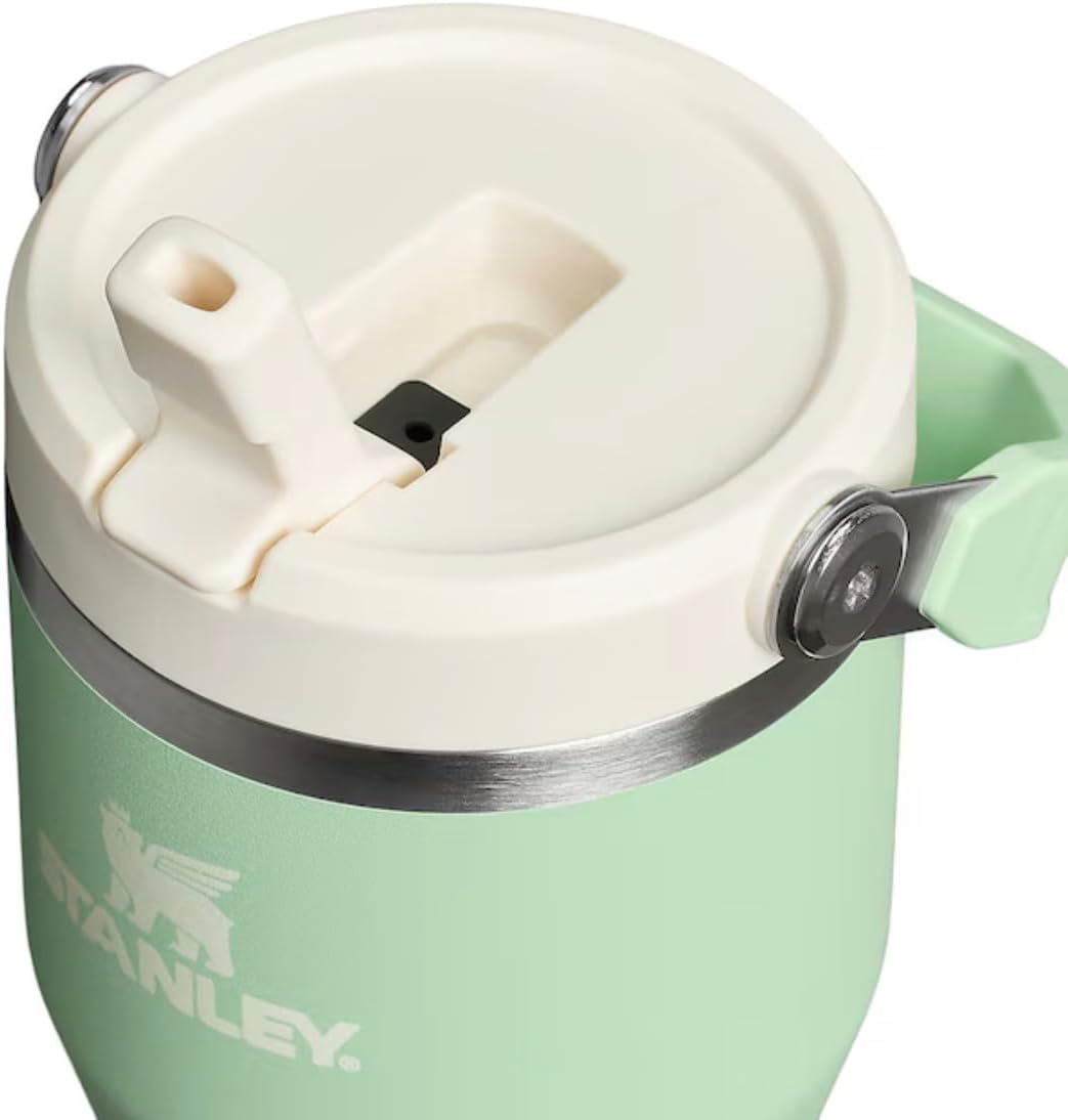 STANLEY IceFlow - Vaso con pajilla abatible con asa, de 20 onzas, t...