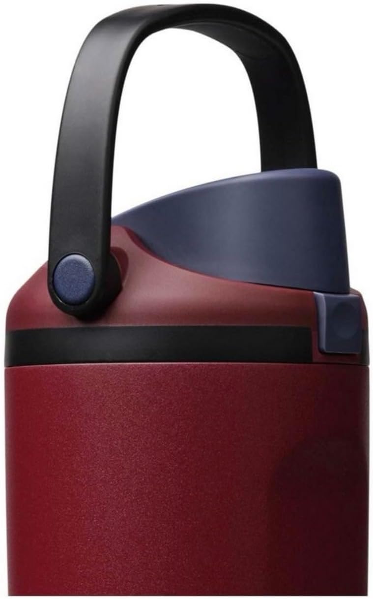 Owala FreeSip Sway - Vaso aislado de acero inoxidable con pajilla,...