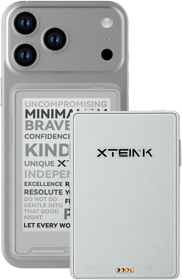 XTEINK Lector de libros electrónicos X3 (edición para desarrollador...