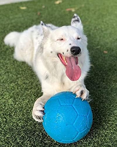 Jolly Pets Pelota de fútbol grande flotante para perro, 8 pulgadas...