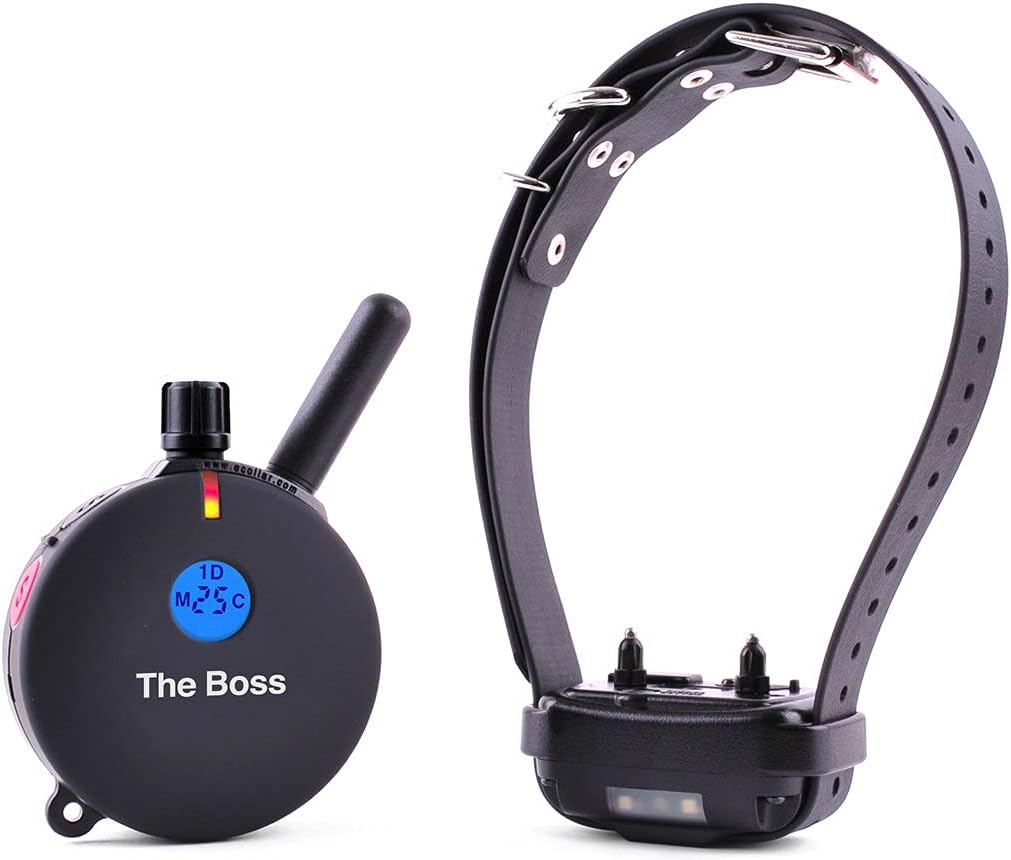 Educator ET-800 The Boss E Collar para entrenamiento de perros con...