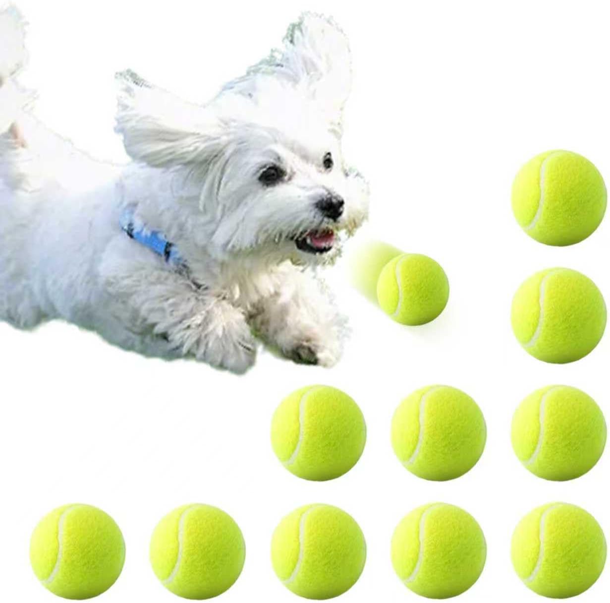 JDXSZ Paquete de 10 pelotas de tenis para mascotas de 2 pulgadas, j...