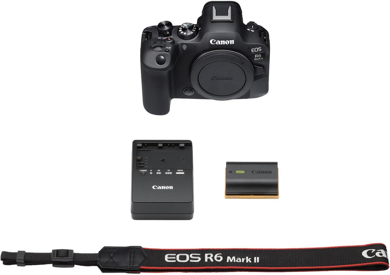 Canon Cámara sin espejo EOS R6 Mark II (solo cuerpo), cámara de fot...