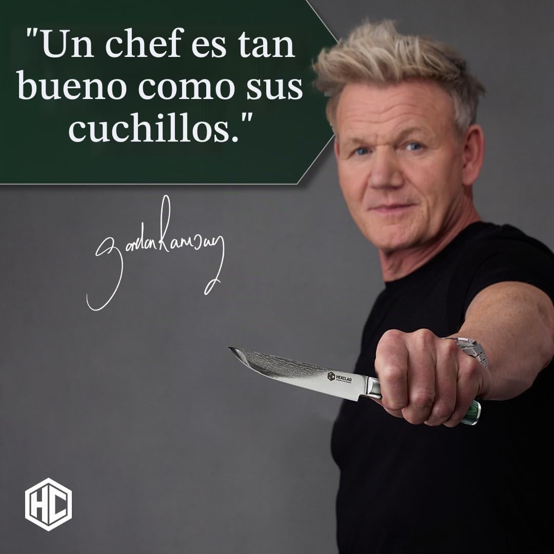 HexClad Juego de cuchillos para carne, 4 cuchillas de acero inoxida...