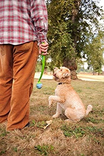 Chuckit - Pelotas para perros Gen 1, juguetes interactivos para per...