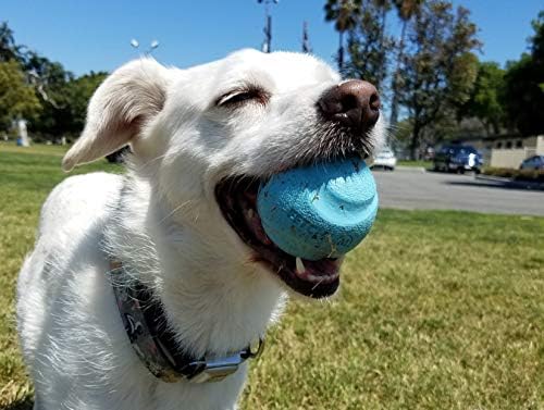 Chuckit - Pelotas para perros Gen 1, juguetes interactivos para per...