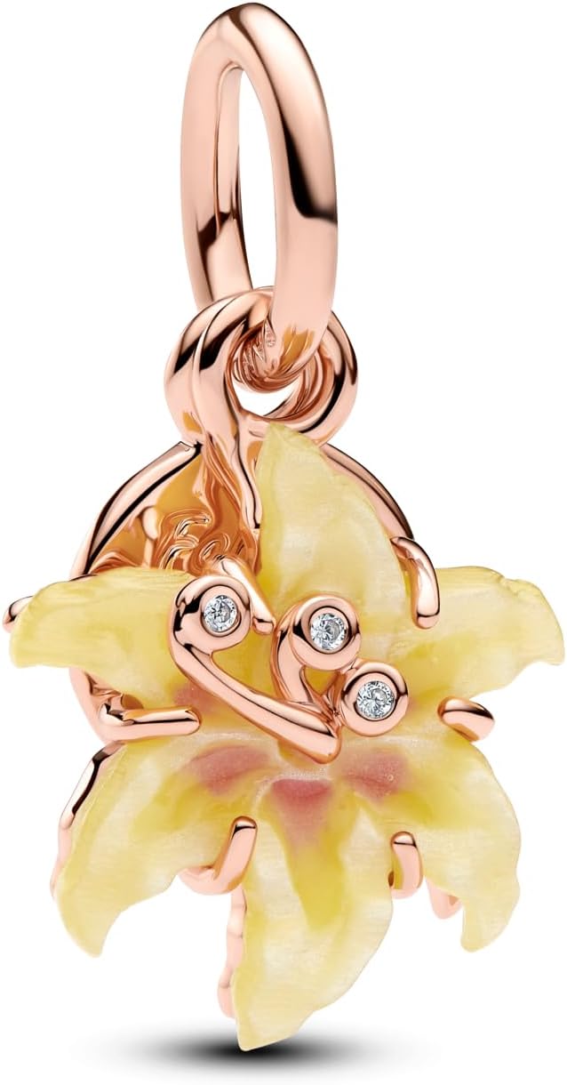 TCZNAF Colgantes colgantes para pulsera: colgante de joyería de Hal...