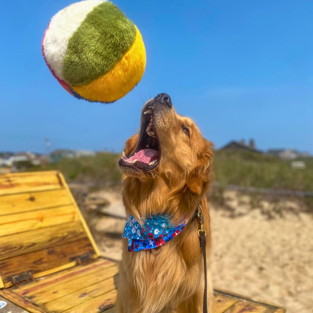 Fluff &amp; Tuff Pelota de playa de peluche para perros, paquete de...