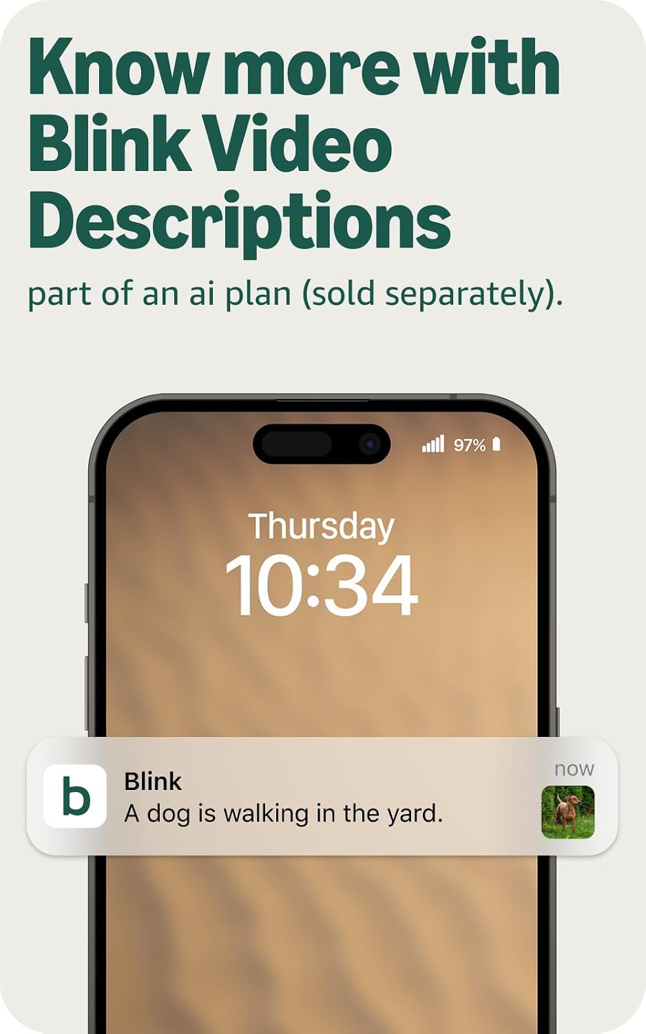 Blink Outdoor 2K+ (último modelo). Cámara inteligente inalámbrica,...