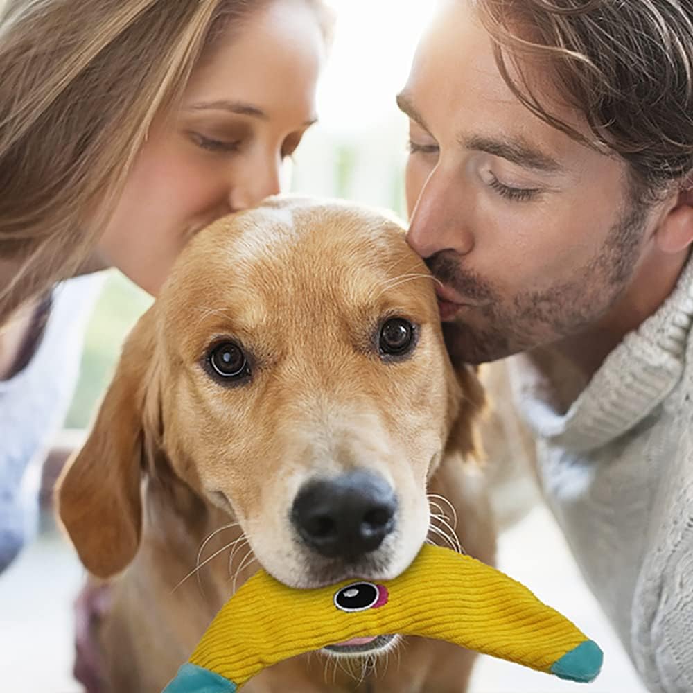 AWOOF Juguetes para perros sin relleno, juguetes arrugados para per...
