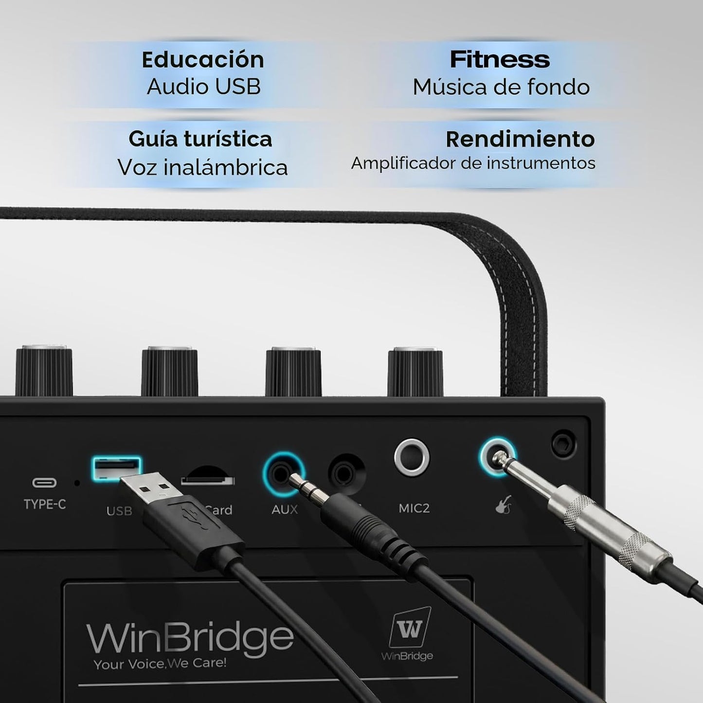 WinBridge S97 60W Potente amplificador de voz con micrófonos inalám...