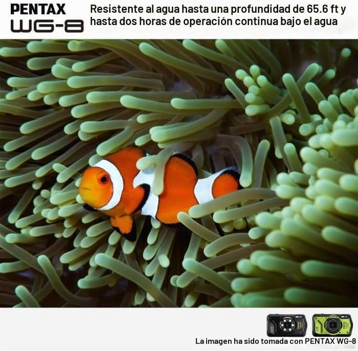 PENTAX WG-8 - Cámara de aventura negra para todo tipo de clima, con...