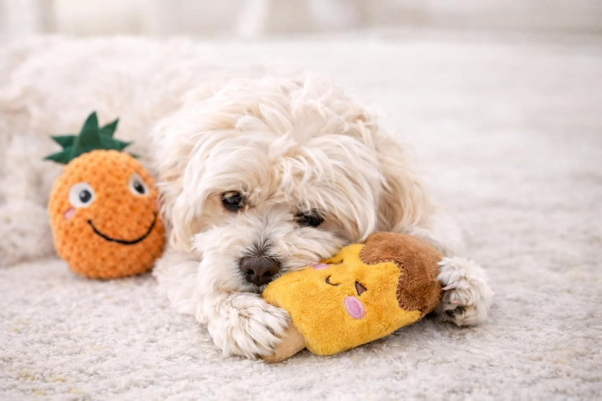 Jalousie Paquete de 18 juguetes chirriantes para perros, lindos pel...