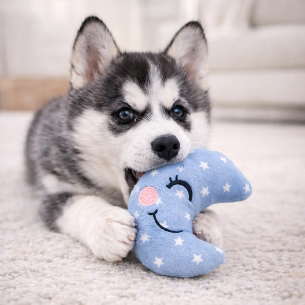 Jalousie Paquete de 18 juguetes chirriantes para perros, lindos pel...