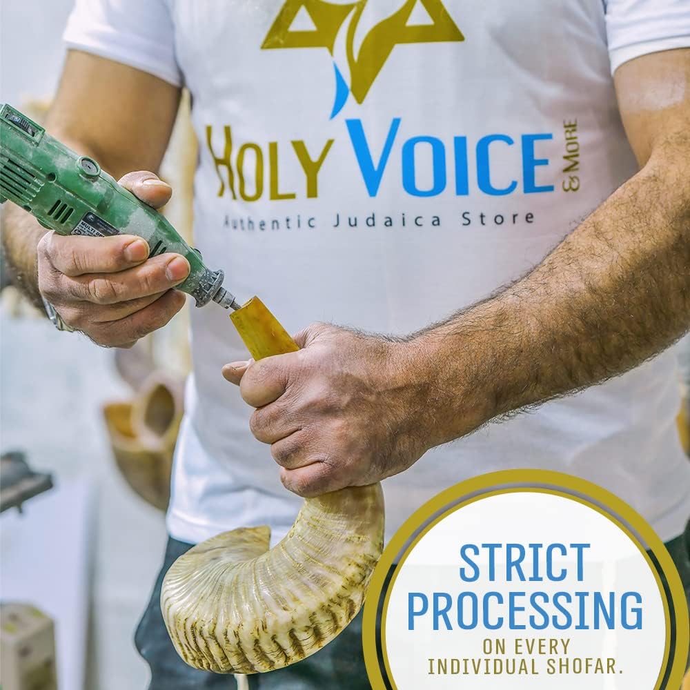 Holy Voice Bocina Kosher Ram Shofar de Israel de 22 a 24 pulgadas,...