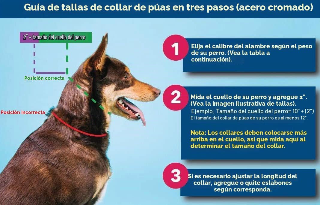 Herm Sprenger Collar de punta de 0.089 in para entrenamiento de per...