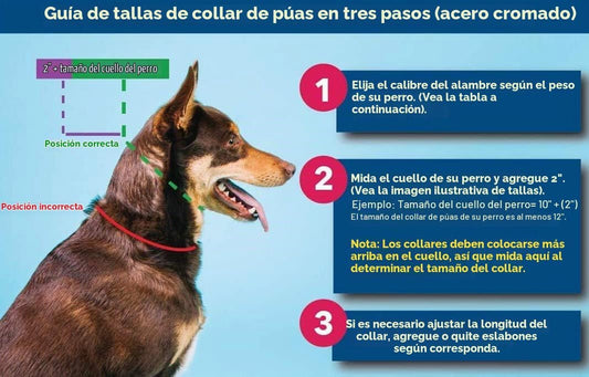 Herm Sprenger Collar de punta de 0.089 in para entrenamiento de per...