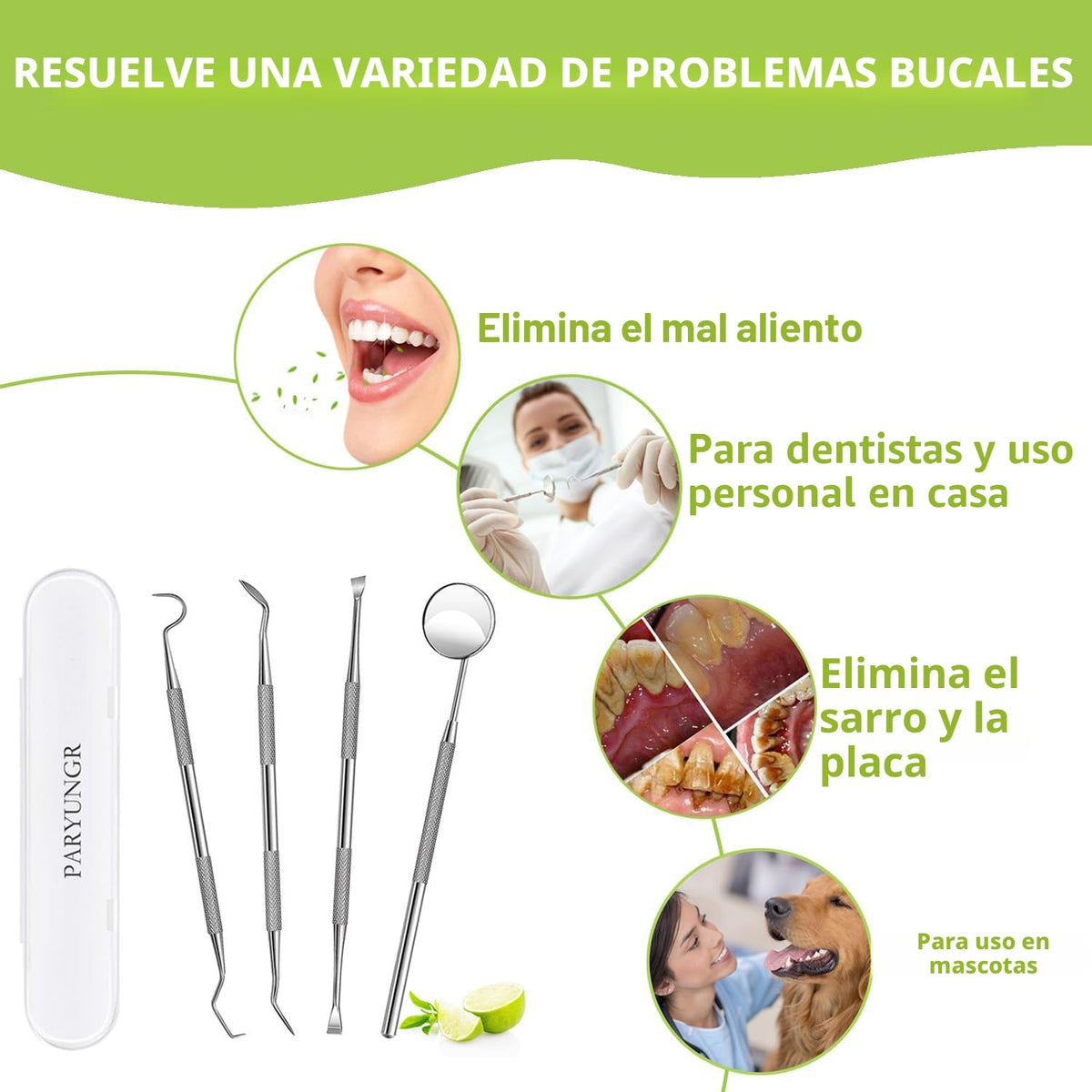 PARYUNGR Herramientas Dentales, Kit Profesional de Higiene y Cuidad...