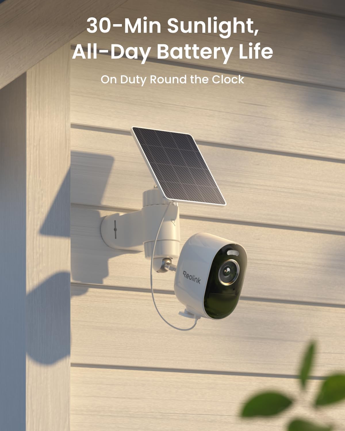 REOLINK Home Hub mini con 4X Argus 3 Pro+panel solar, cámaras de se...