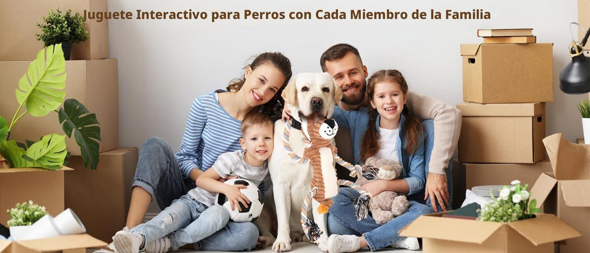 CneeeeeB Juguetes Chirriantes para Perros Interactivos Duraderos co...
