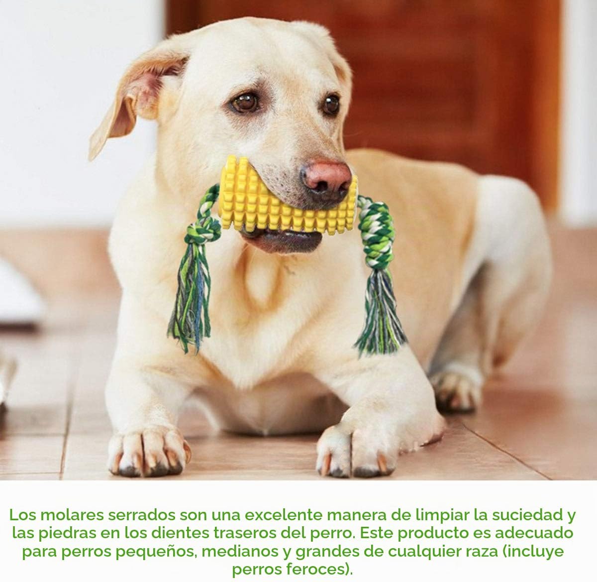 Carllg Juguetes masticables para perros, cepillo de dientes para ca...